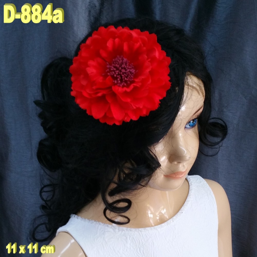 D-884a (1)